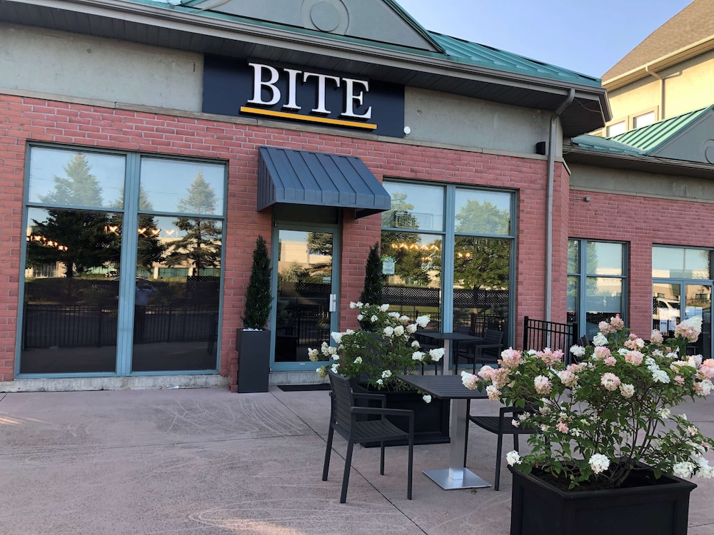 Best Western Plus Travel Hotel Toronto Airport 39/46