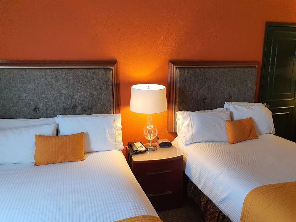 HOTEL SAN FRANCISCO LEON 31/64
