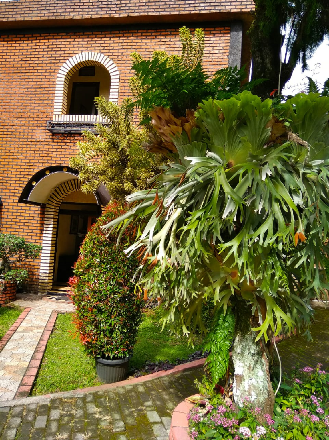 Hotel Taman Sari 41/50