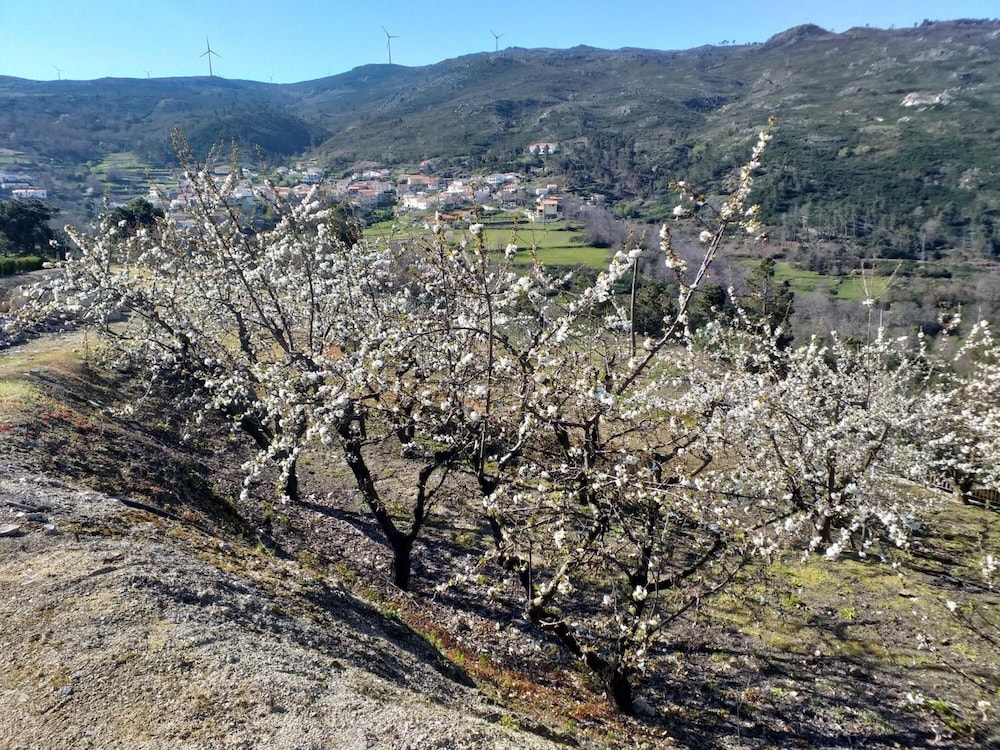 Quinta Da Timpeira 48/64