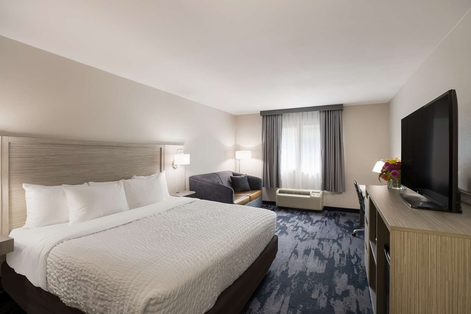 Room, King Bed