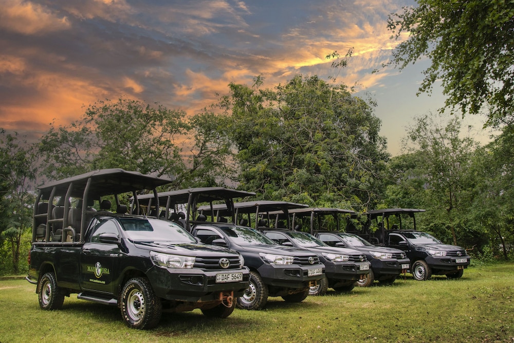 Big Game Camp Yala 28/50