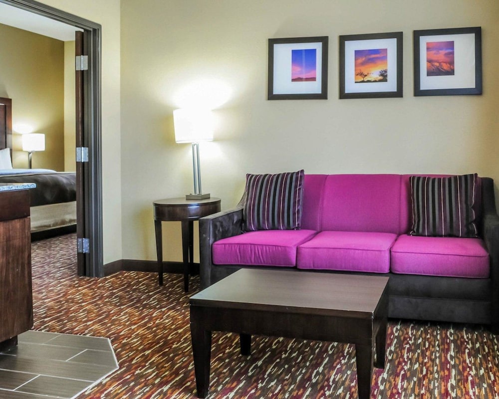 Comfort Inn & Suites Artesia, NM 26/40