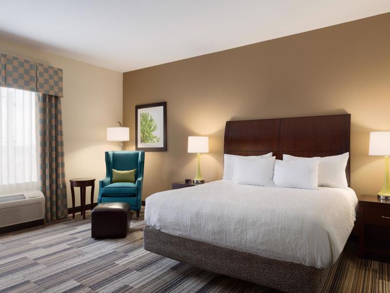 Standard, King Bed, Hilton Garden Inn Abilene 2/2