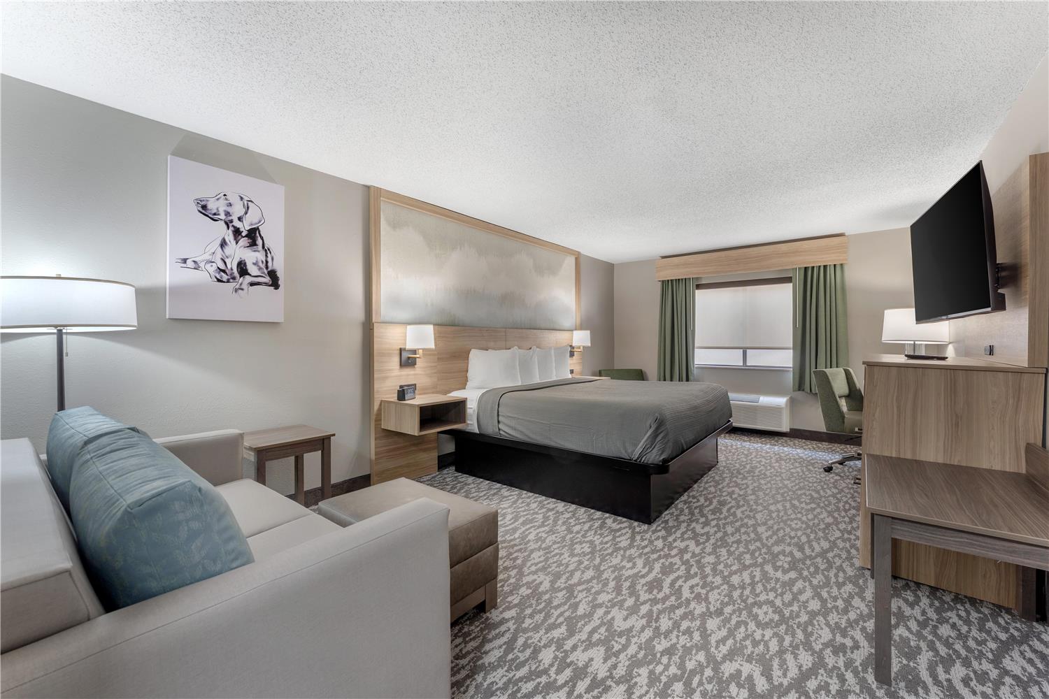 Best Western Plus Executive Inn 17/29
