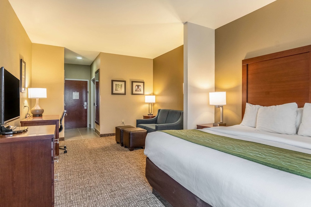 Comfort Inn Suites Tuscumbia Muscle Shoals 13/45