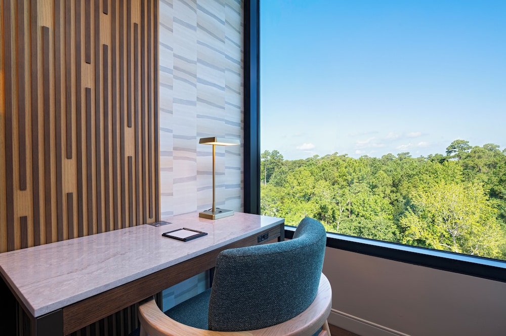 Hyatt Regency Conroe 27/45