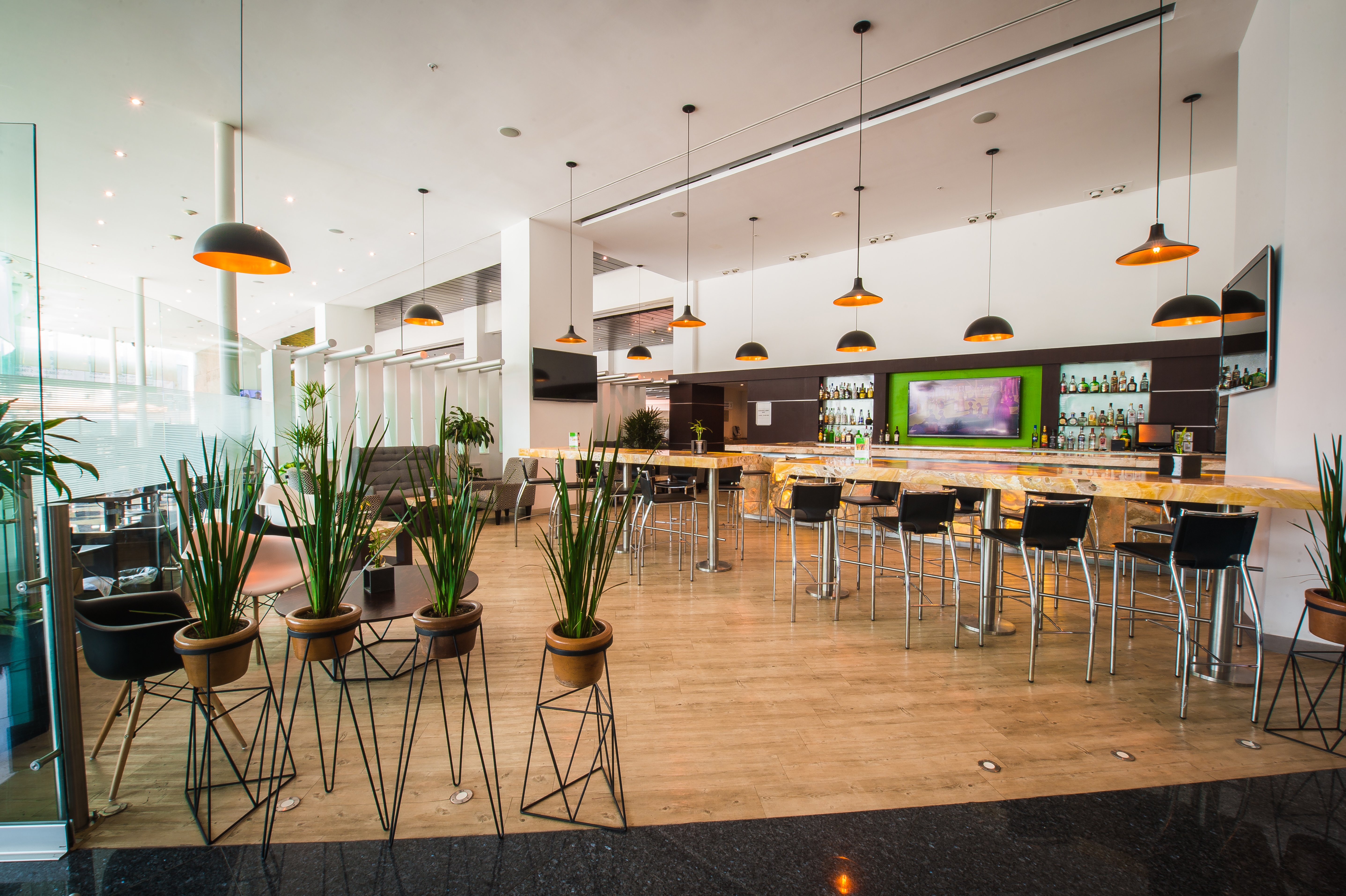Holiday Inn Mexico City-Plaza Universidad 36/50