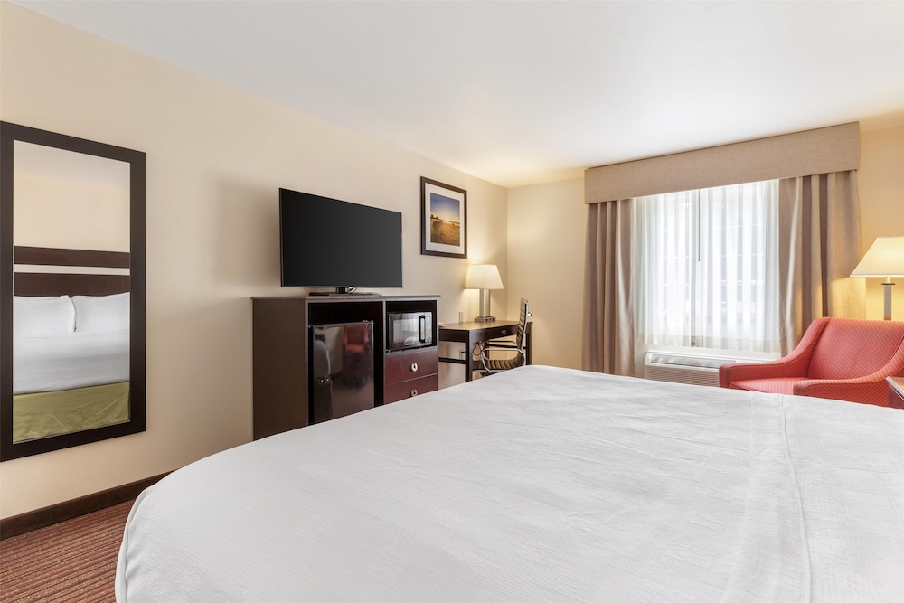 Standard, King Bed