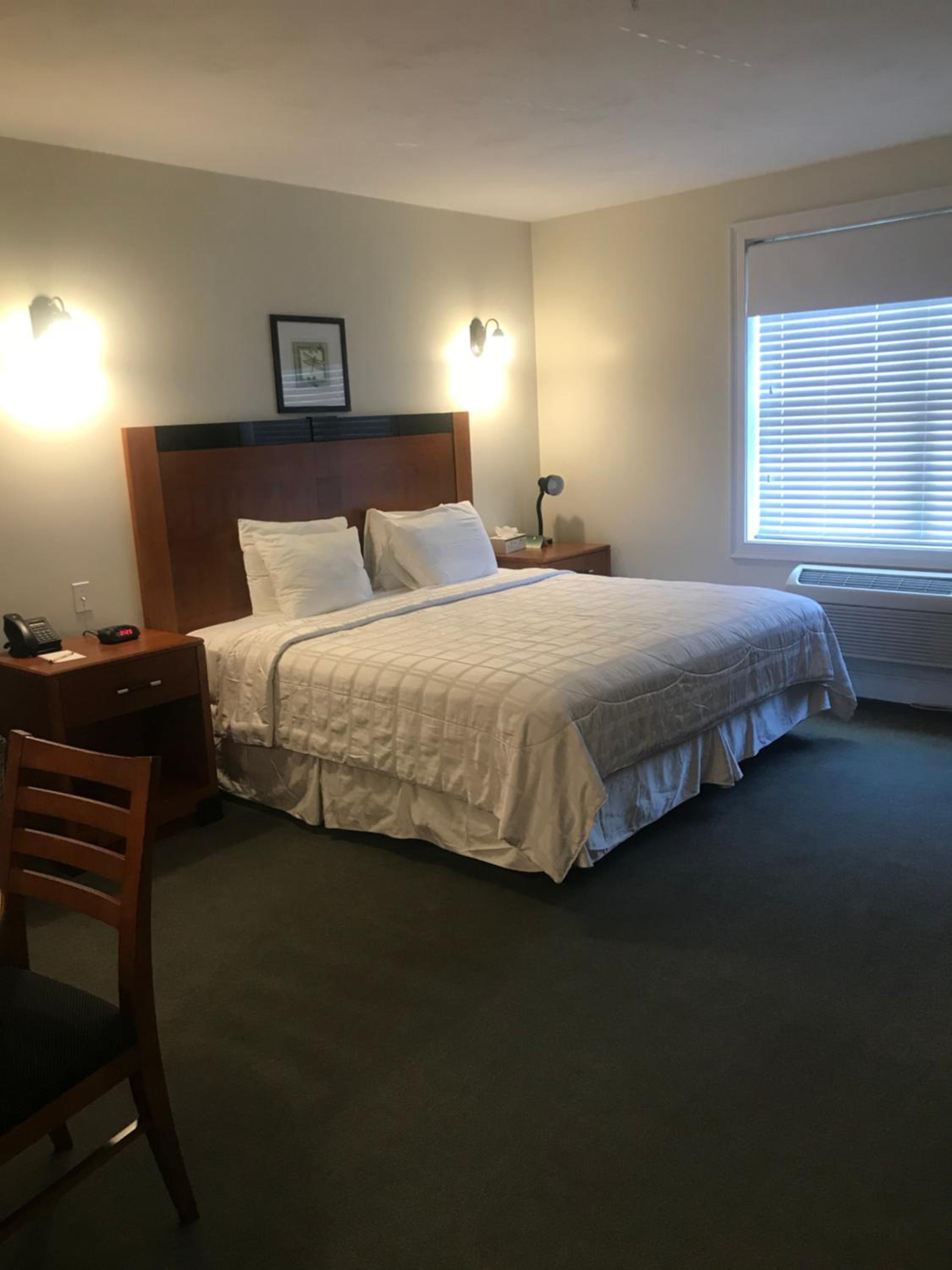 Studio, King Bed