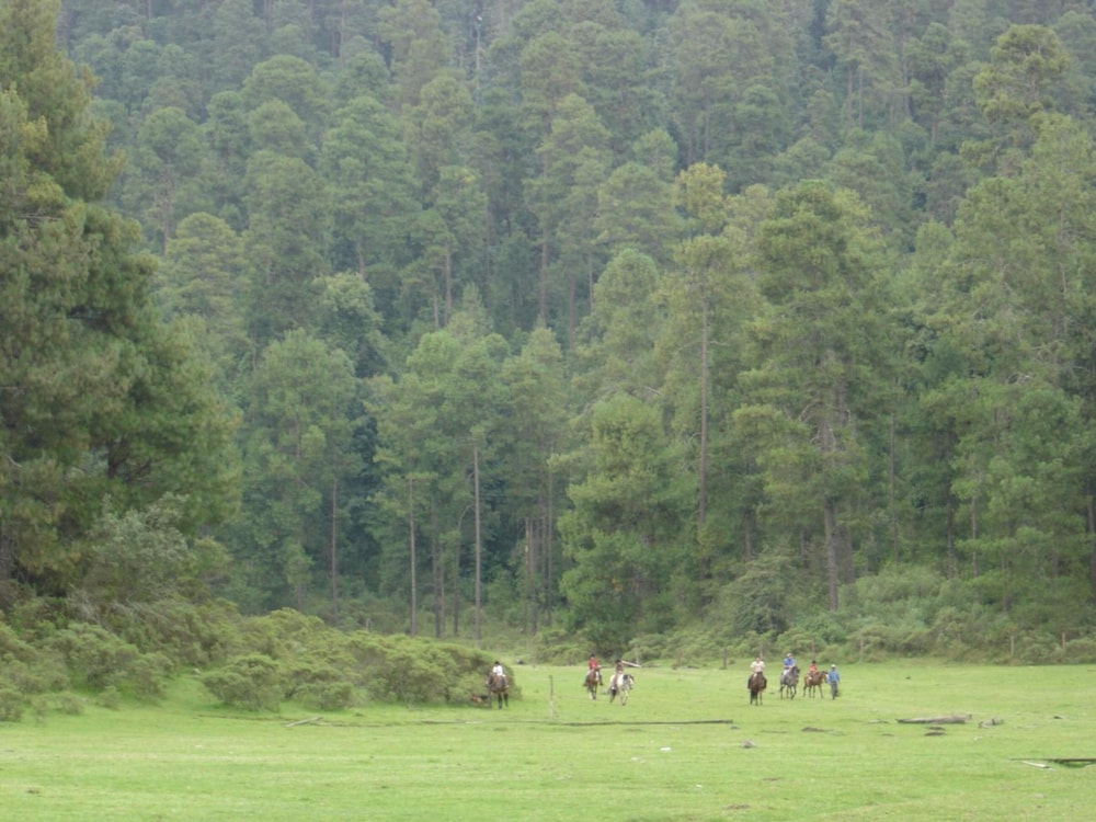 Hotel Rancho Viejo 36/48