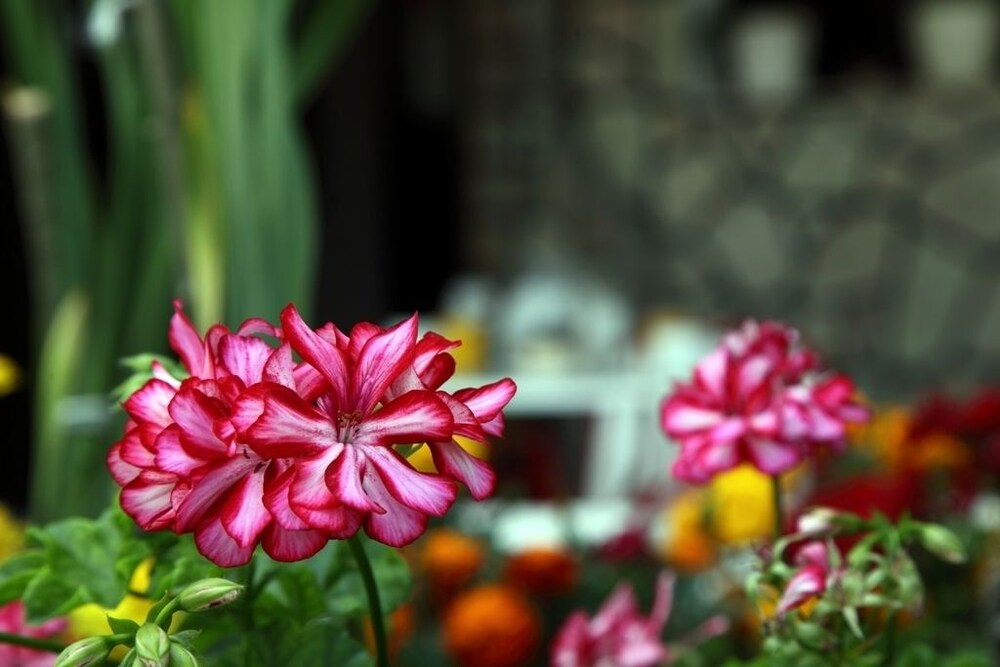 Nostos Hotel photo2