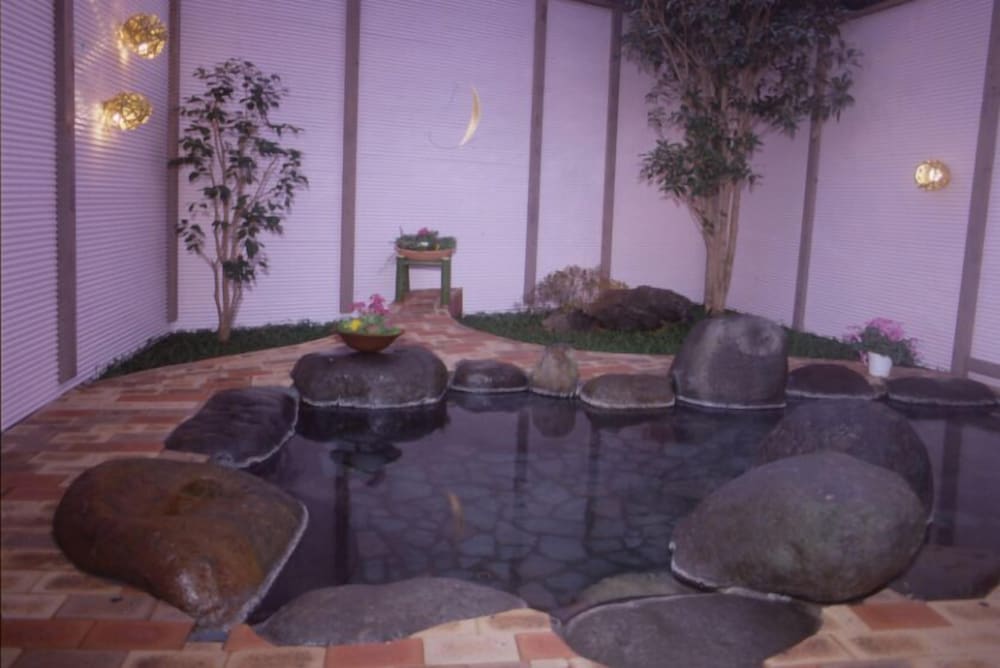 Kurhaus Ishibashi Ryokan 45/57