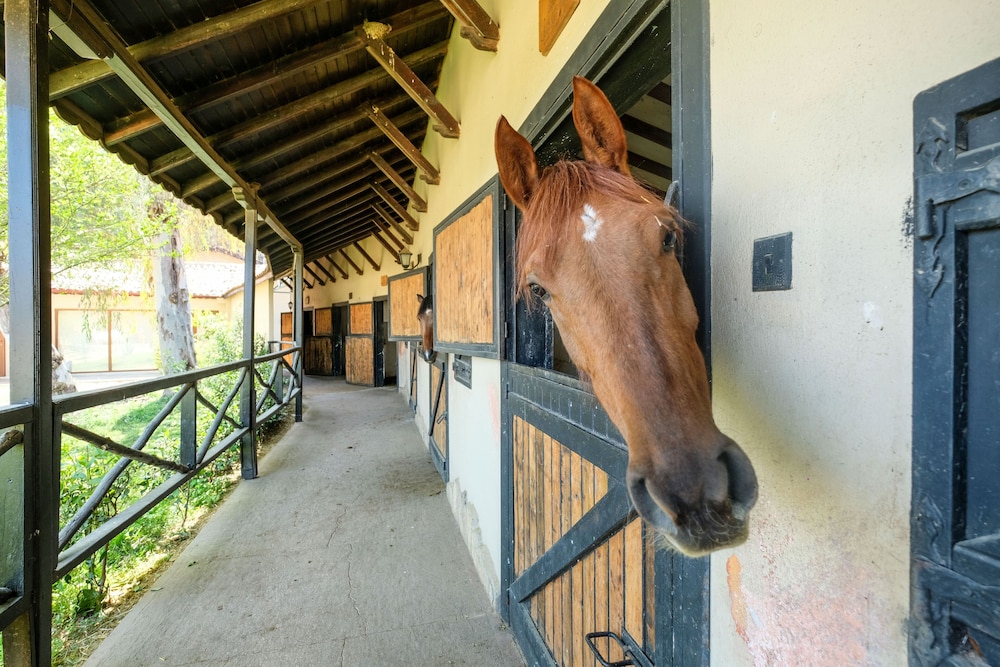BESO Hotel Berke Ranch & Nature 32/54