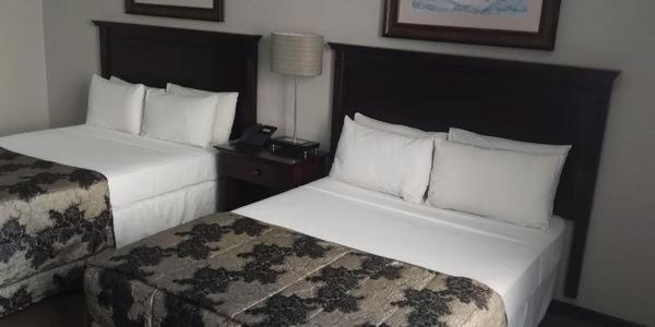 Welkom Inn 6/26