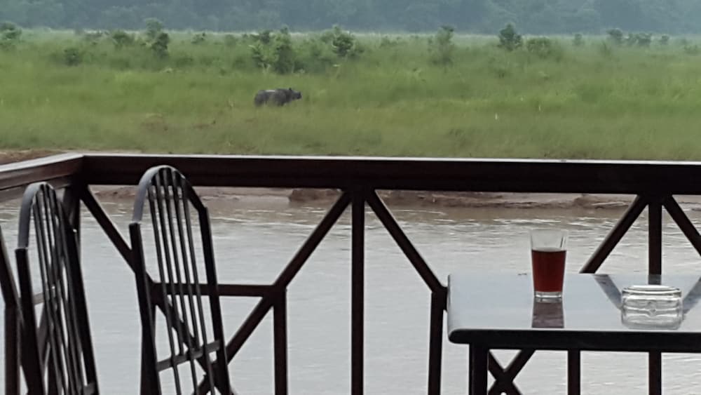 Jungle Wildlife Camp 34/41
