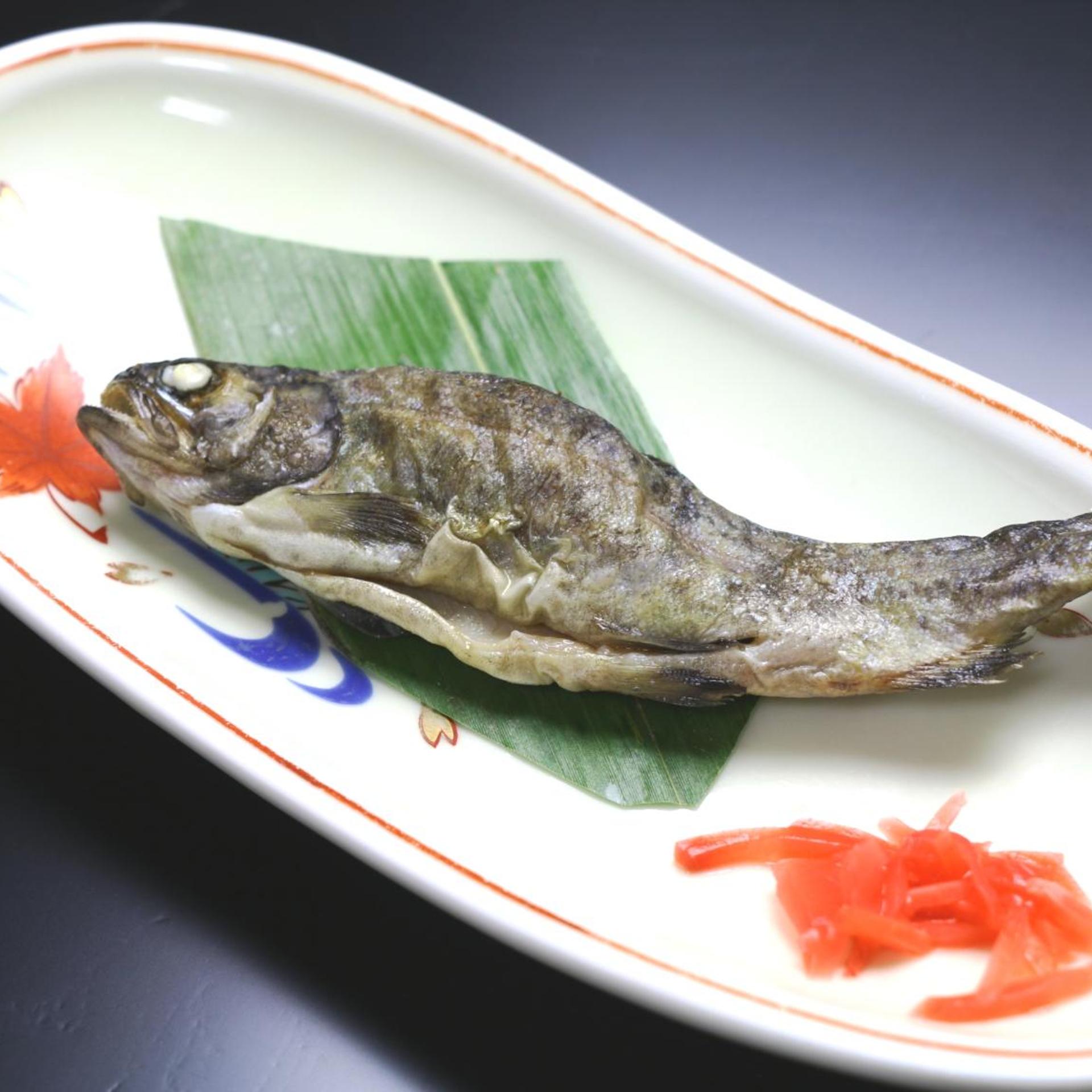 Miyamasou 65/100