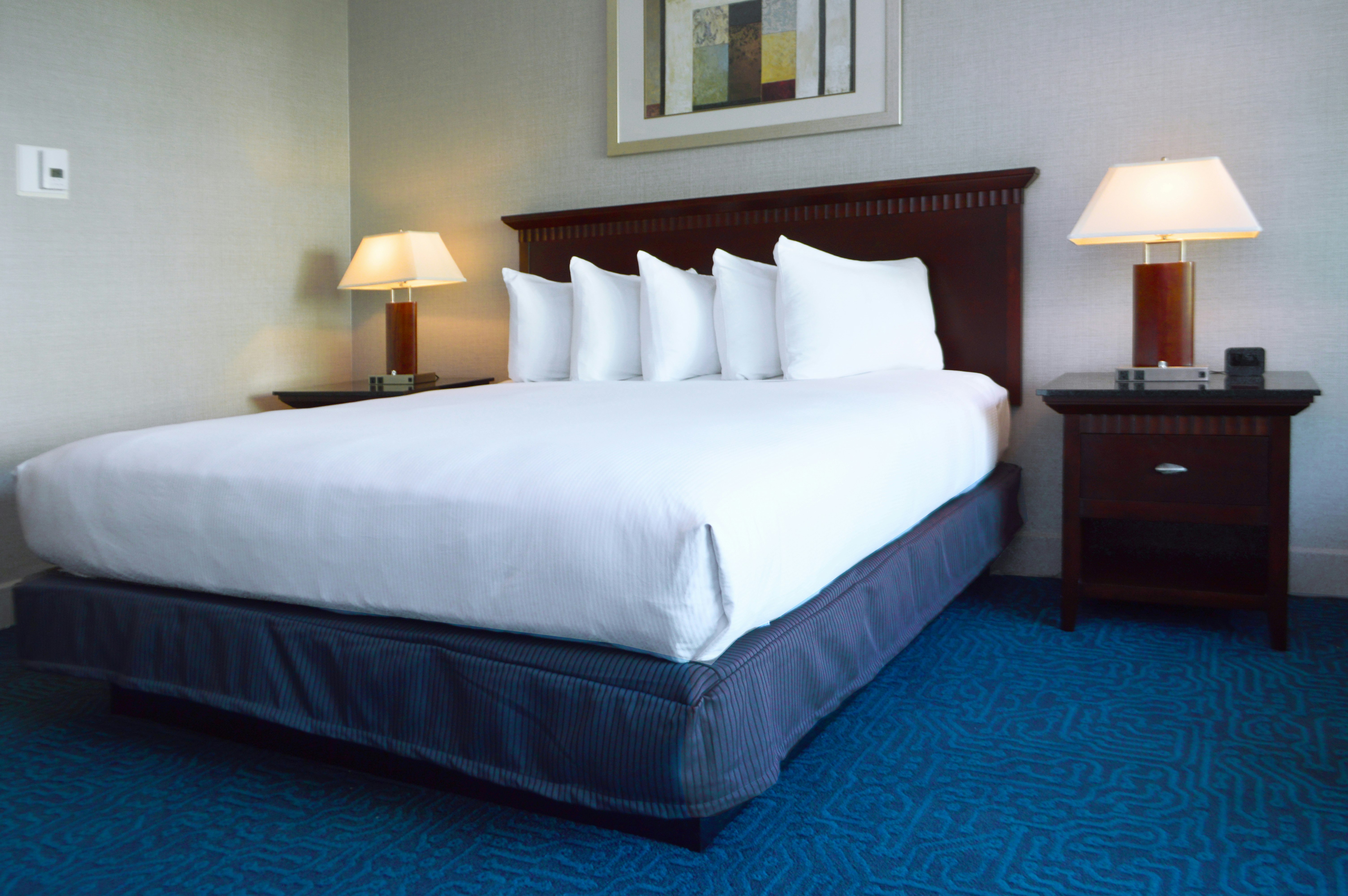 Garden, King Bed، Doubletree By Hilton Newark Fremont 4/7