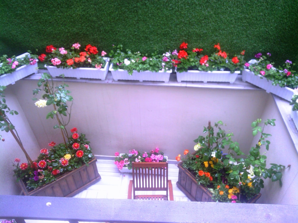 Calanthe Residence 2/17