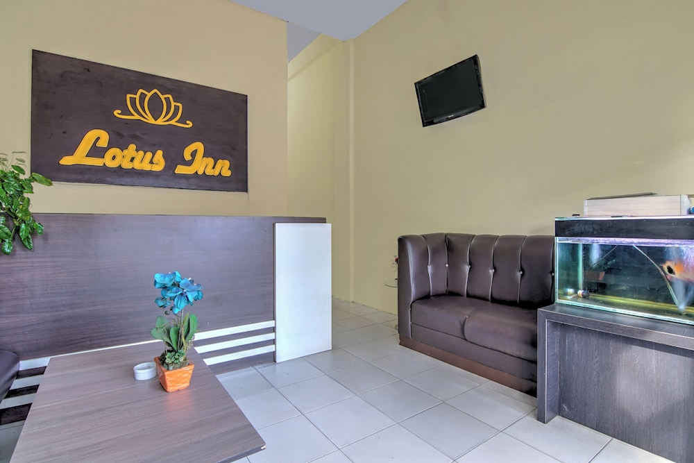 Lotus Inn 7/42