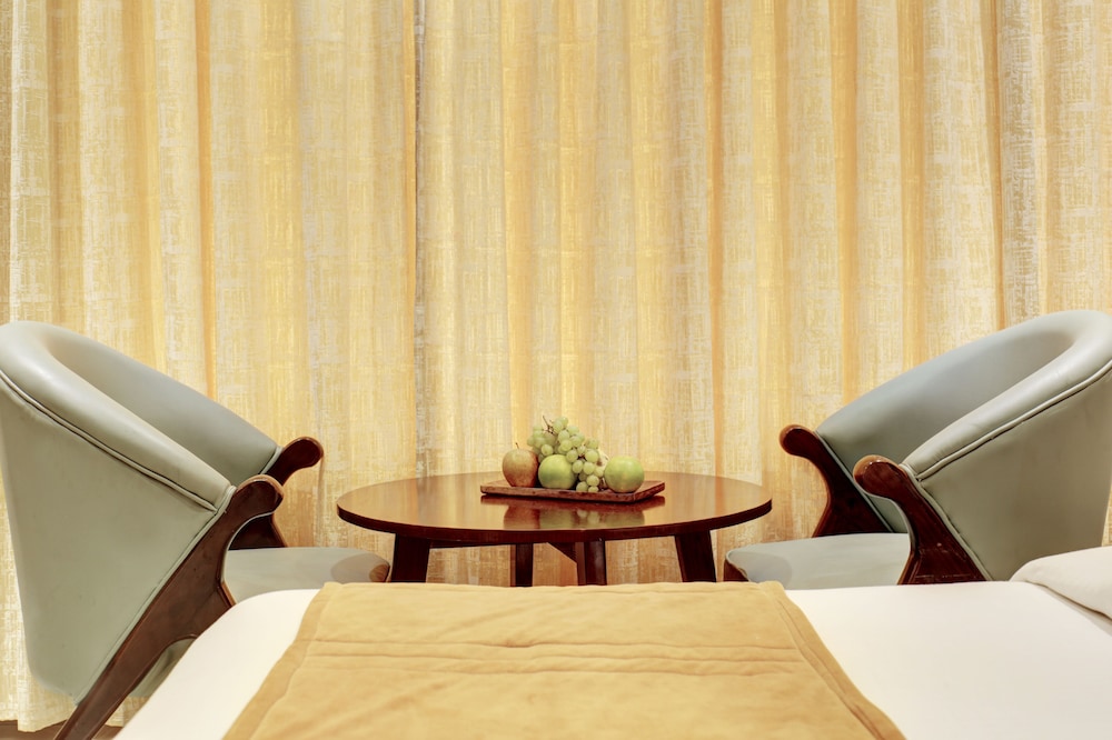 Hotel Krishna Plaza 34/43