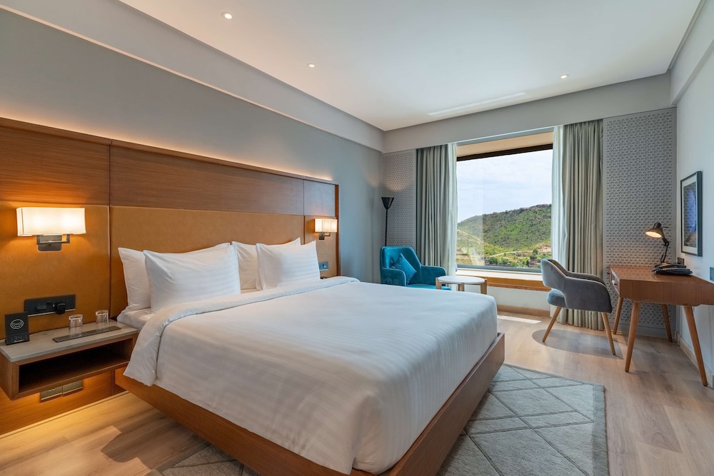 Radisson Hotel Nathdwara 13/46