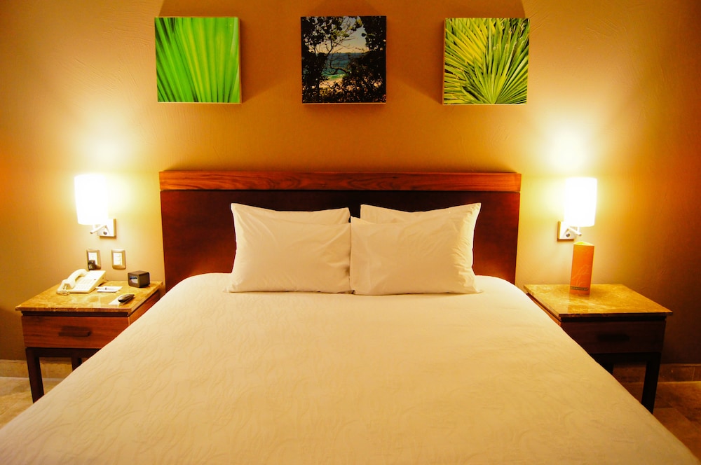 Hilton Garden Inn Boca Del Rio Veracruz 8/78