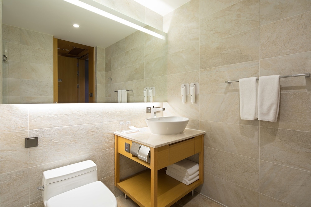 Sotetsu Hotels The Splaisir Seoul Dongdaemun 20/64