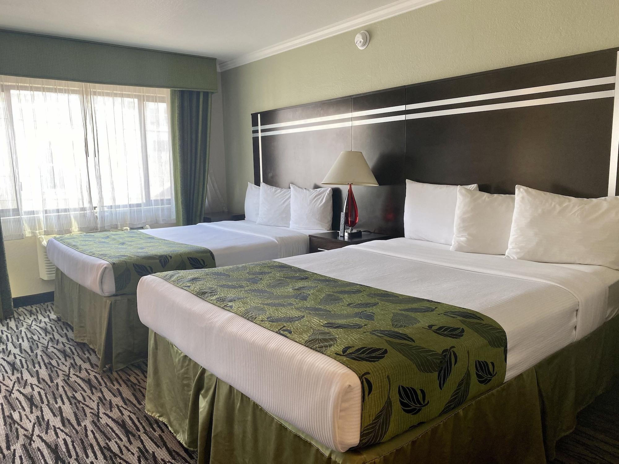 1 Bedroom, Family, Studio, Suite