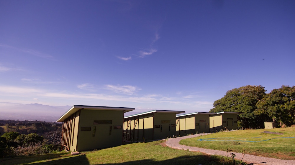Chayote Lodge 44/50