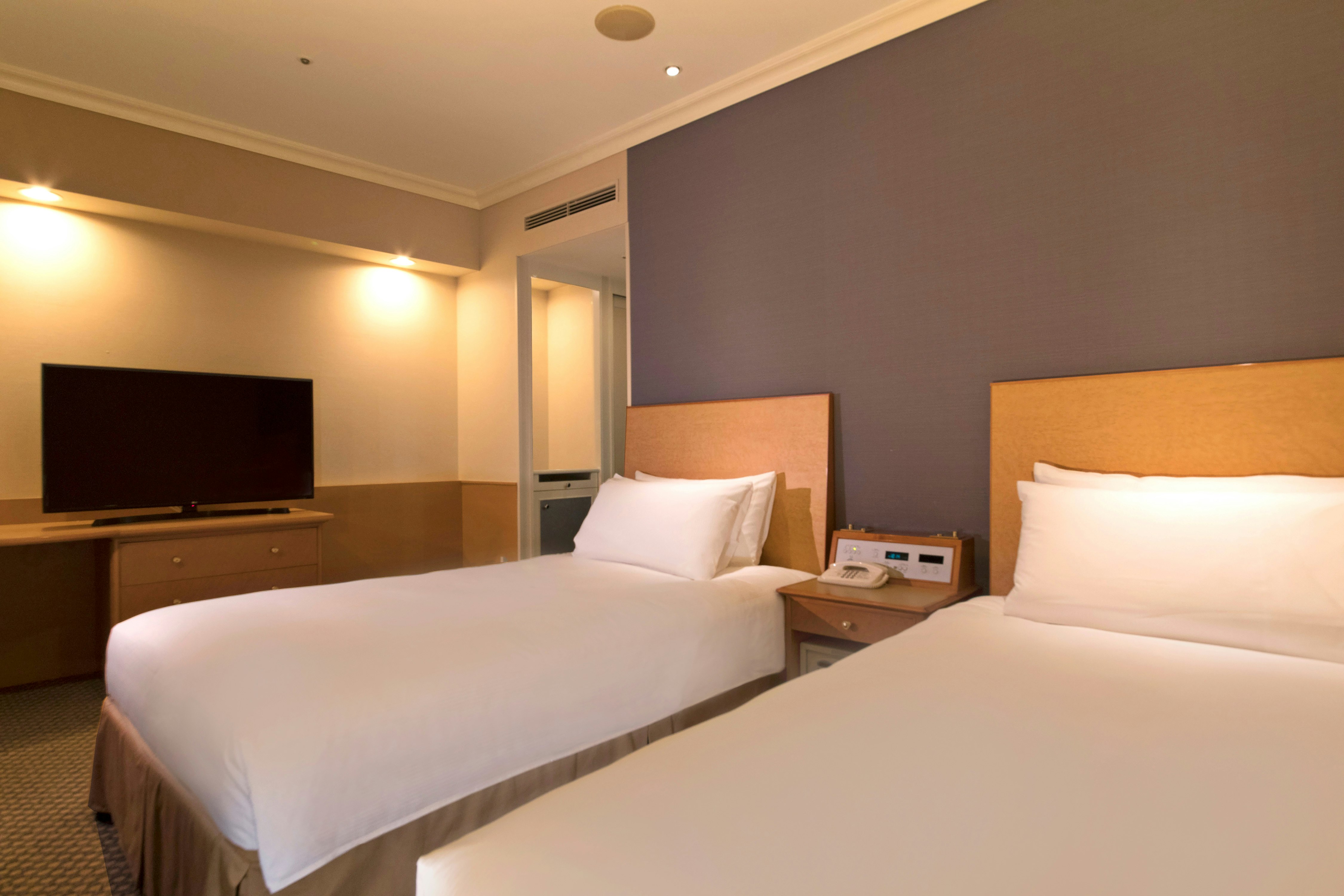 GUEST ROOM, TWIN BEDS