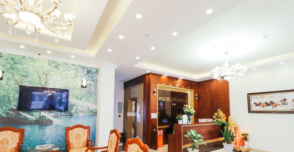 Mai Hoang Hotel 14/70