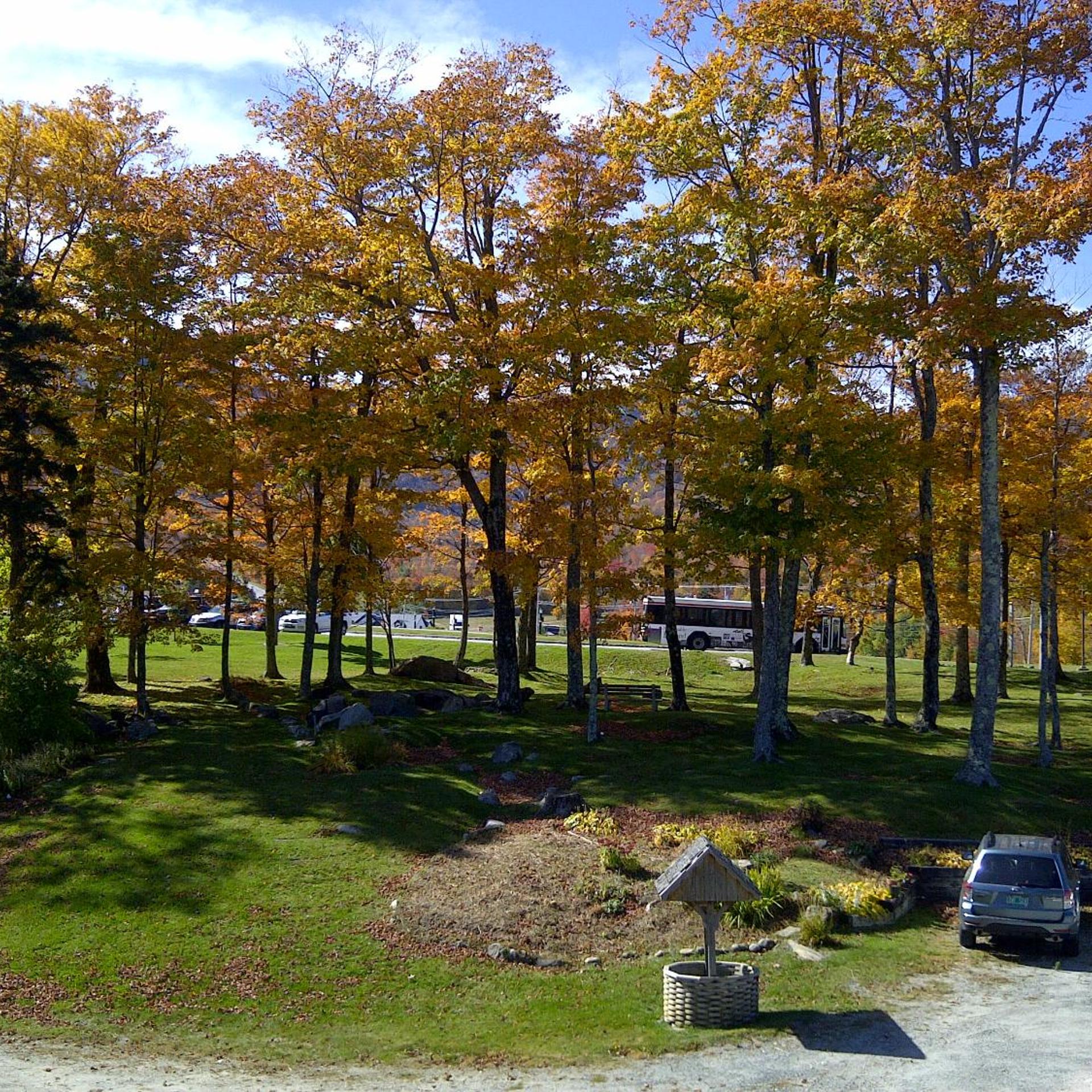 Cascades Lodge 20/27