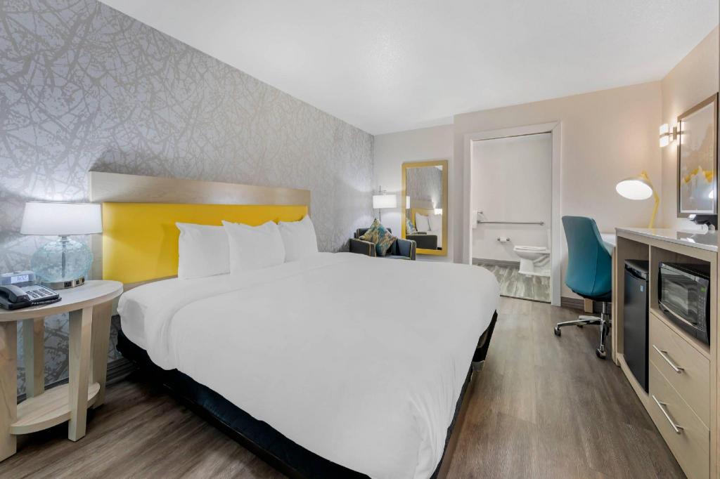 Upgrade, King Bed, Accessible