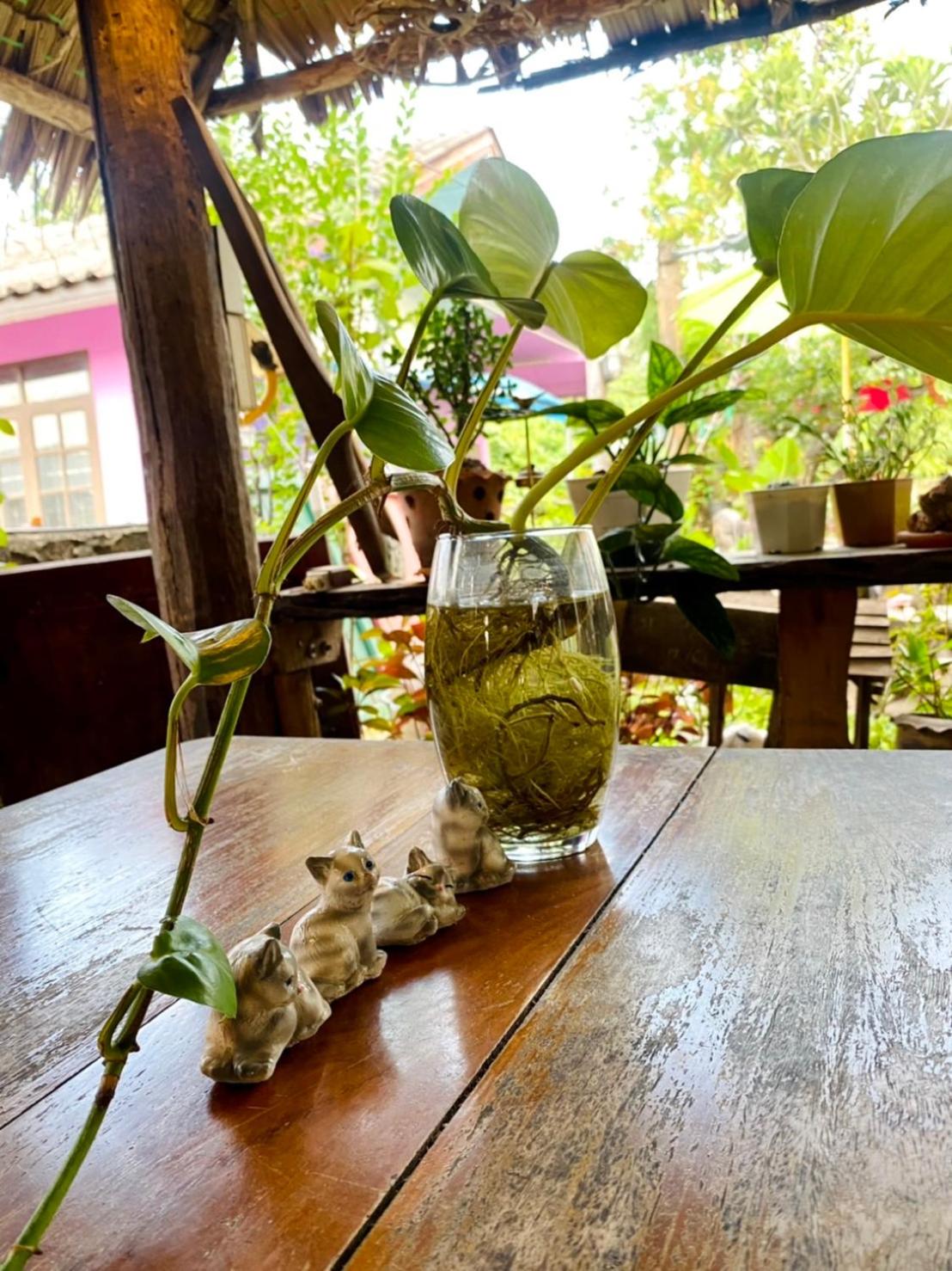 Thai Guesthouse Kanchanaburi 38/41