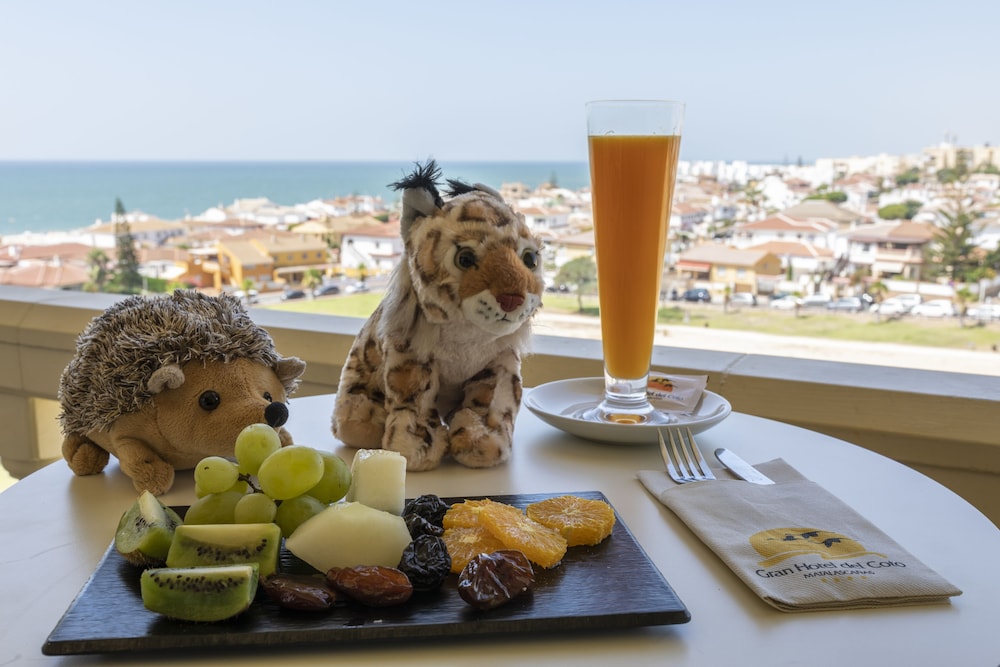 GRAN HOTEL DEL COTO 19/28