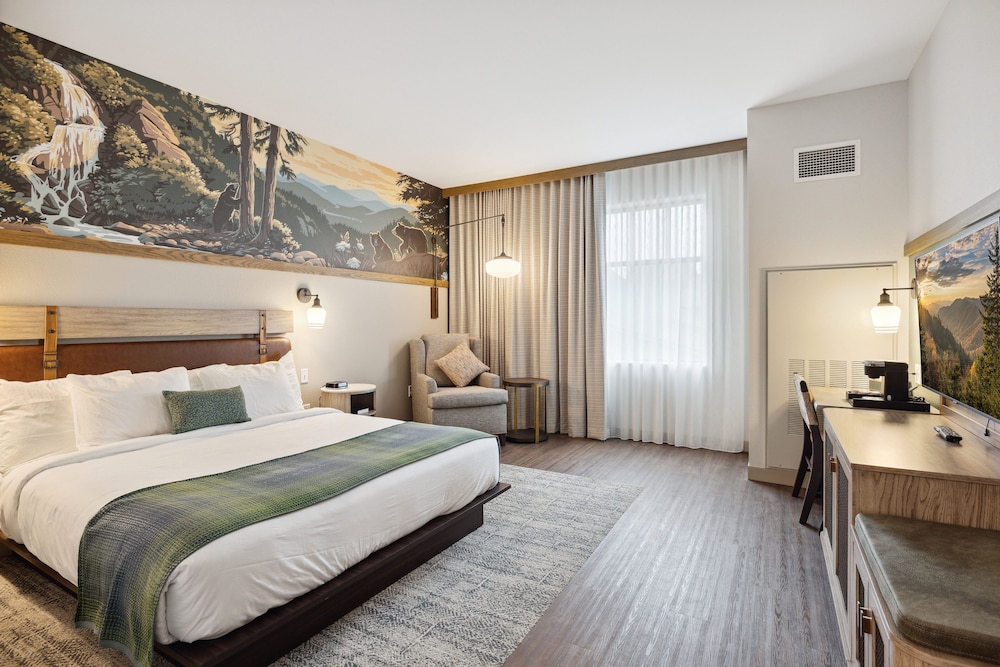 Dollywoods HeartSong Lodge & Resort 17/50