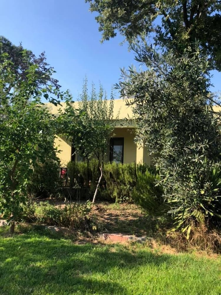 Assos Büyük Yildizsaray Otel 38/50