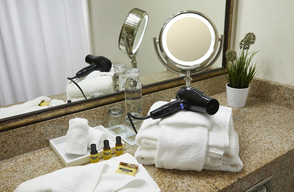 Best Western Plus Hotel Lewisville Flower Mound 36/40