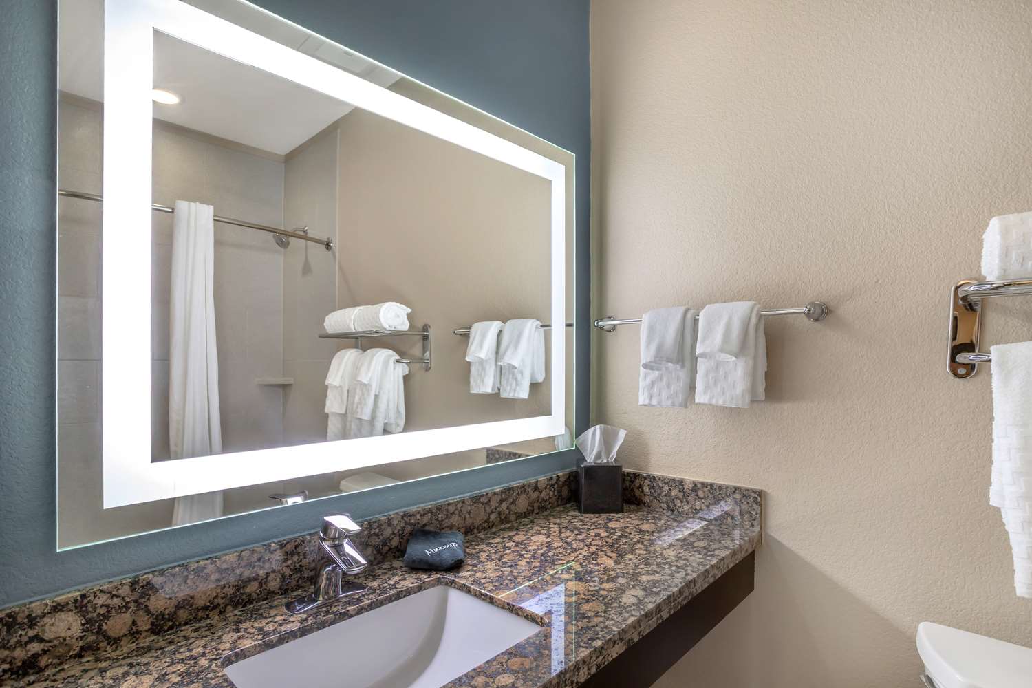 Best Western Plus Lake Jackson Inn and Suites 15/15