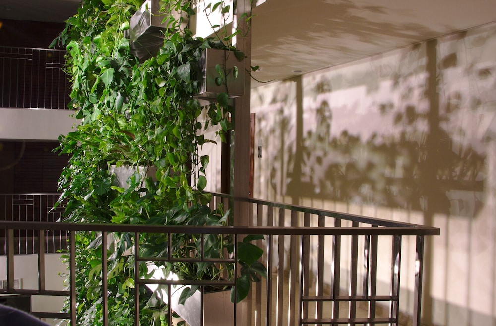 MANA Suites and Sea Palanga 47/50
