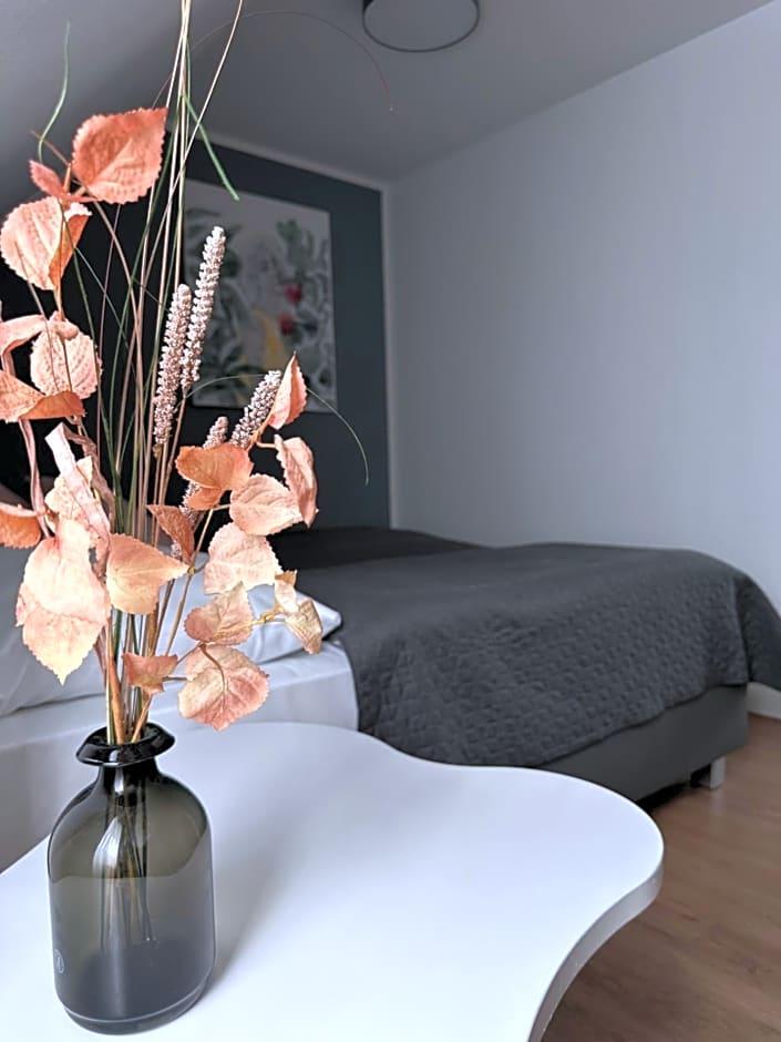 Hotel Viva Creativo 33/51