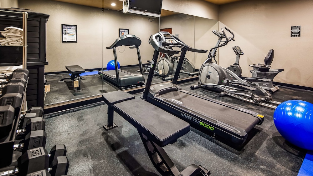 Best Western South Plains Inn & Suites 19/31