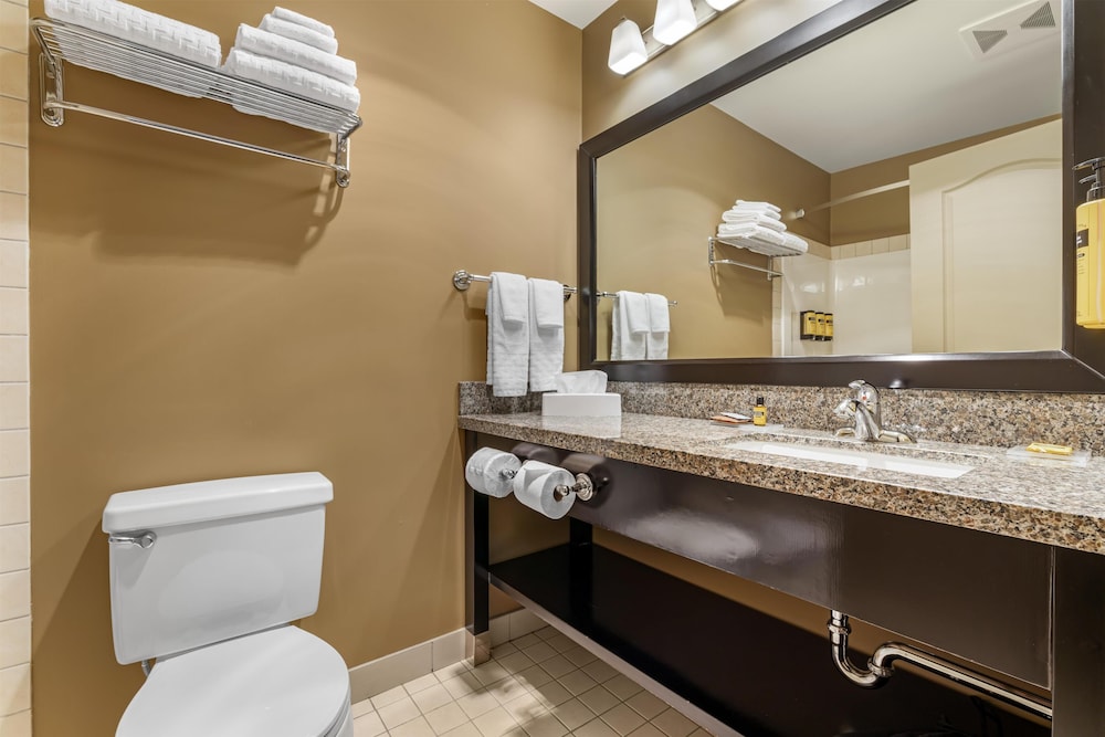 غرفة قياسية صغيرة بسرير كوين، Best Western Plus Baker Street Inn 9/9