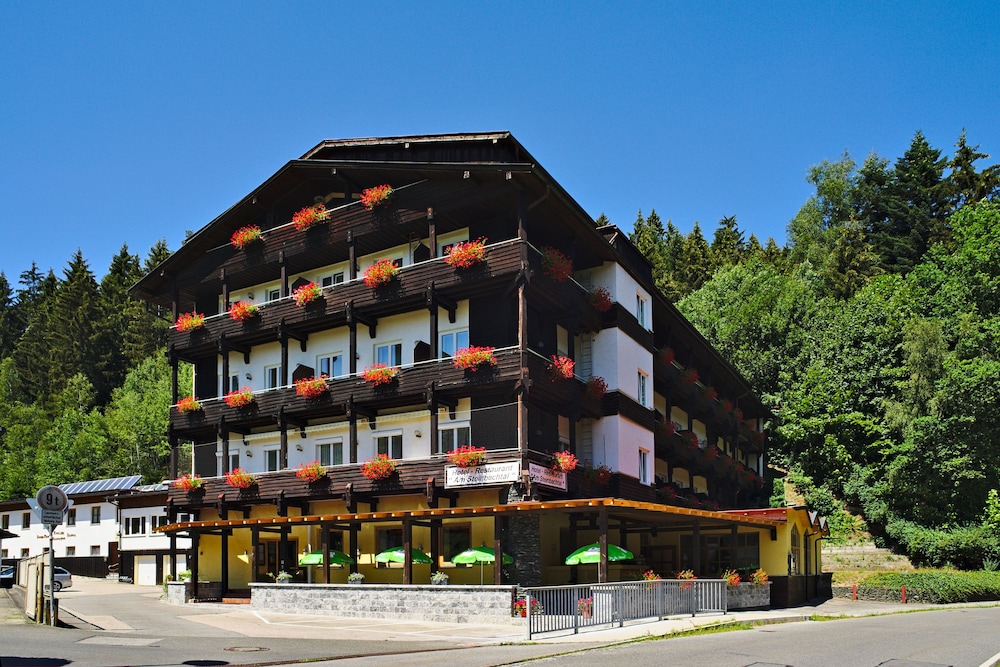 Natur- und Wanderhotel am Steinbachtal 6/33