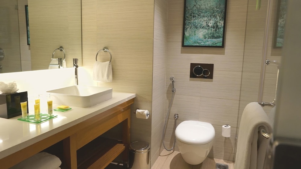 Hyatt Place Hyderabad Banjara Hills 51/54