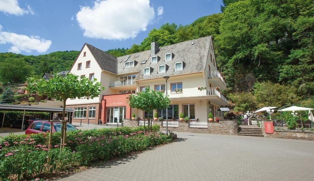 Hotel Alte Muehle 1/50