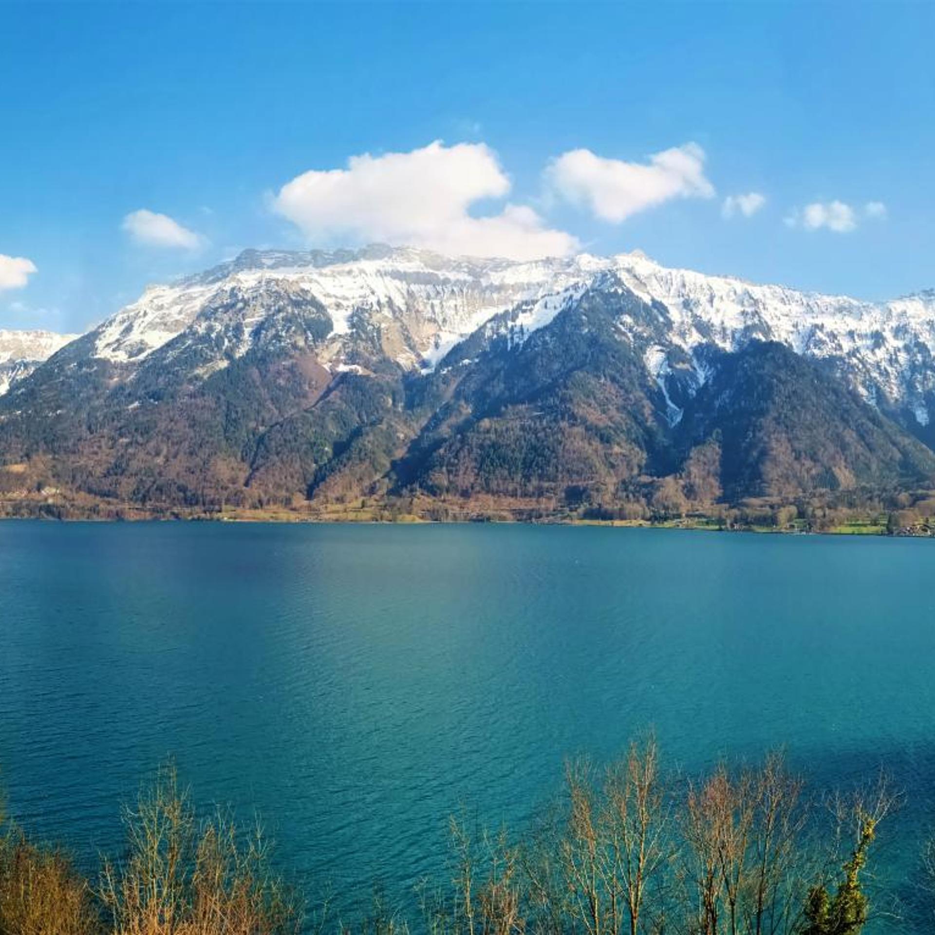 Hotel Brienzersee 42/50