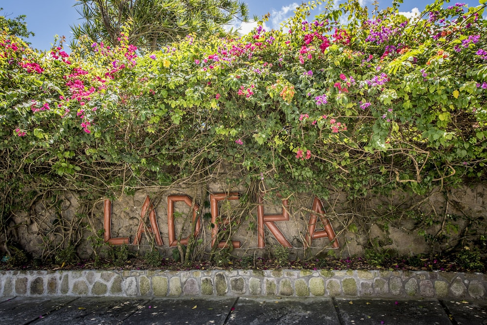 Ladera 43/50