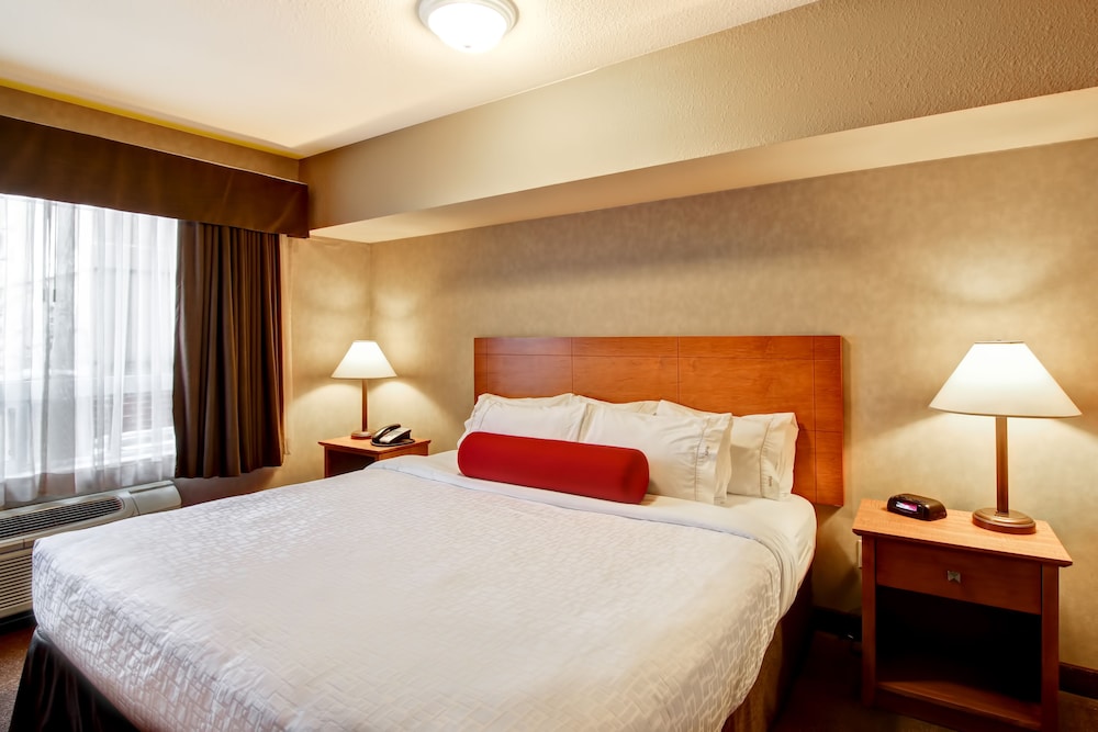 Deluxe, Suite, King Bed